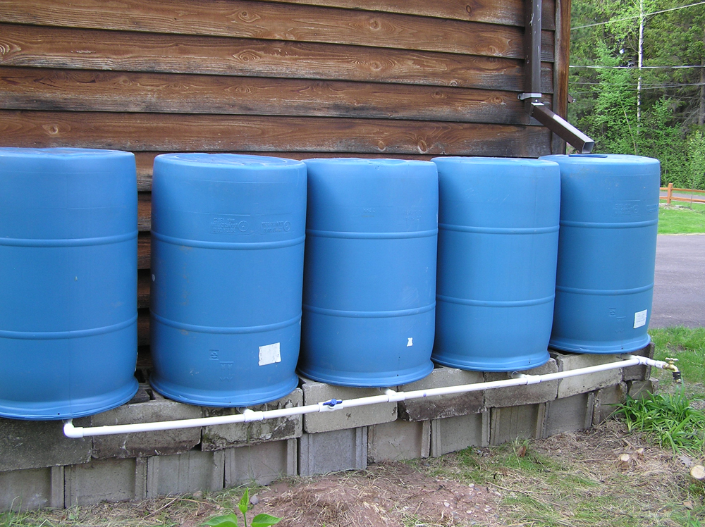 rain barrel system