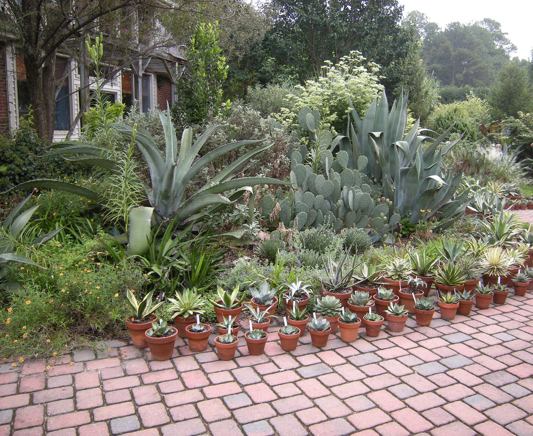 Avent Patio
