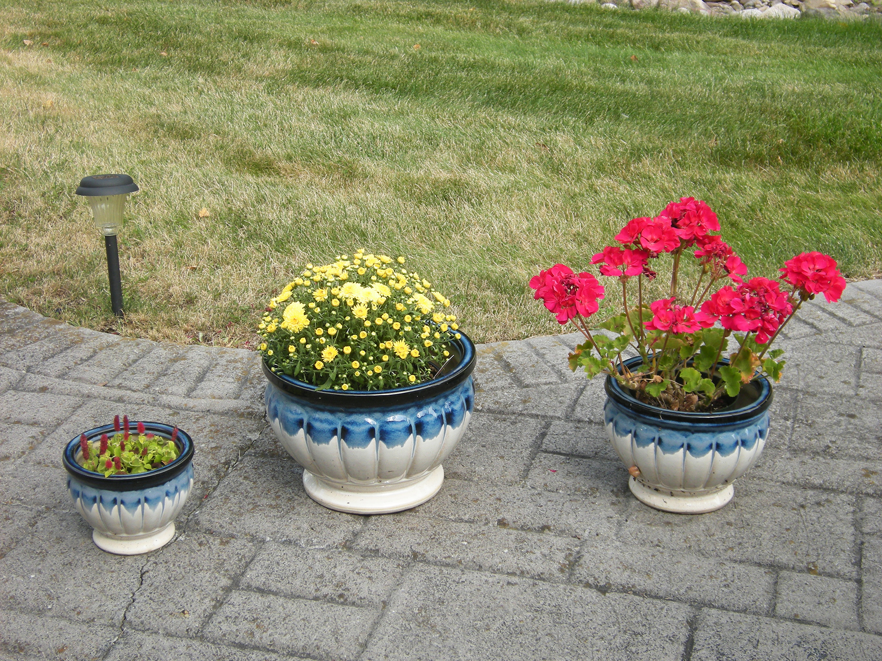 pot-in-pot