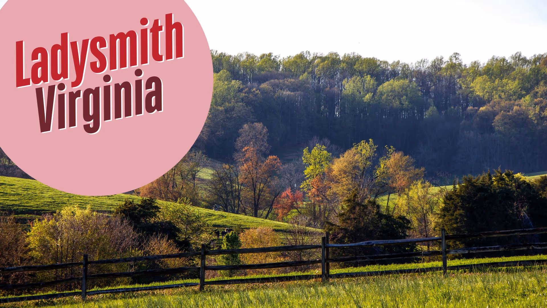 Ladysmith Homeowners Trust Assure Plumbing & Septic