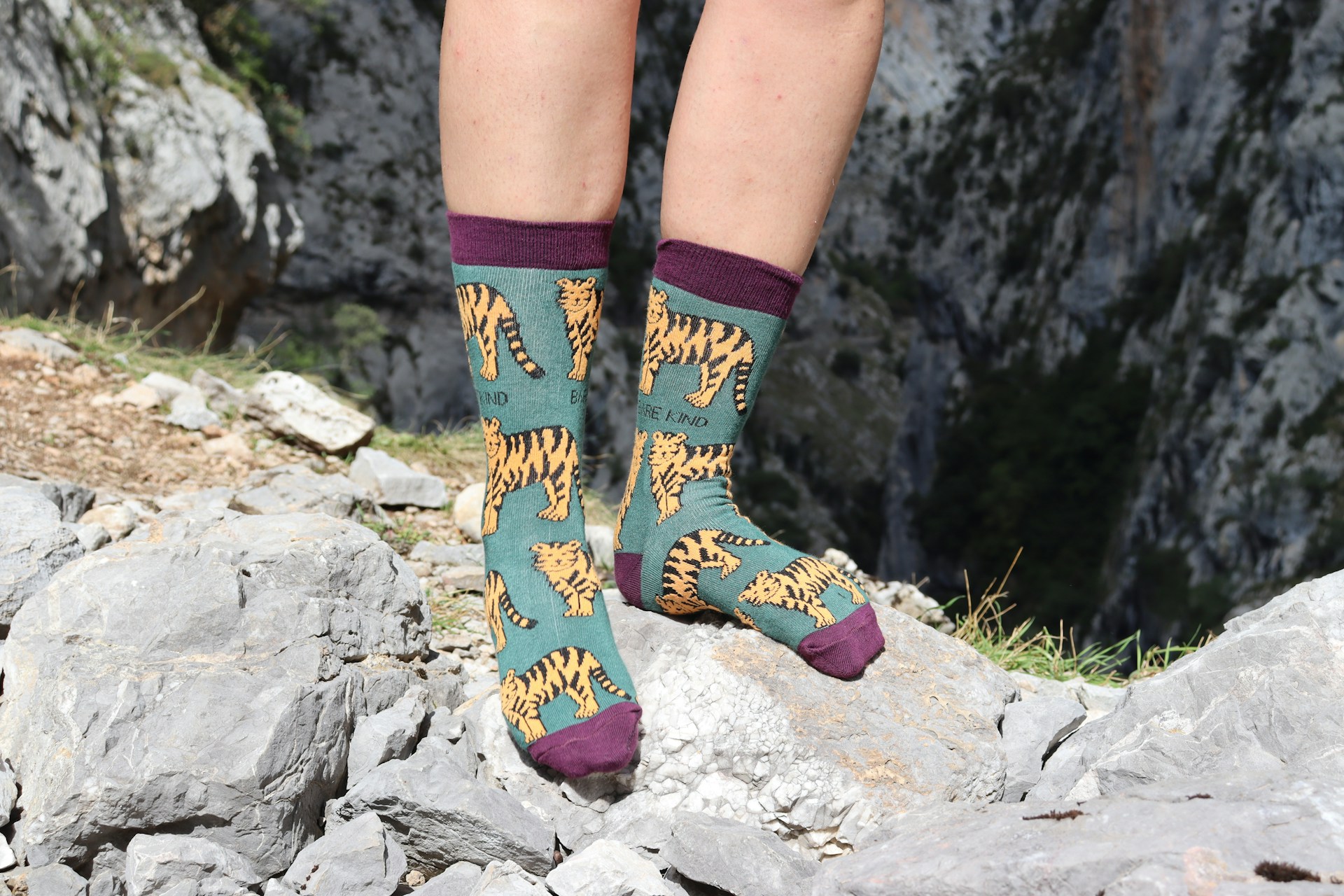 Most Important Quality