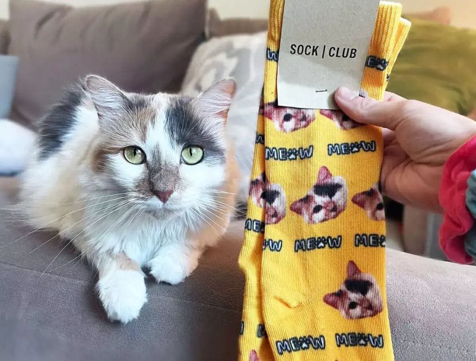 Custom printed socks with a cat's face on them