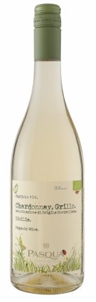 https://www.northcoast.pl/