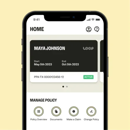 Carey Anne Nadeau & John Henry