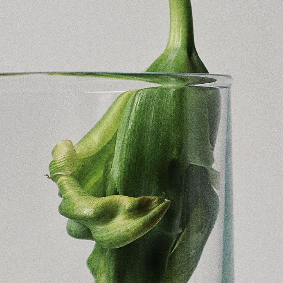 Luxury Chemical Peels Cape Town