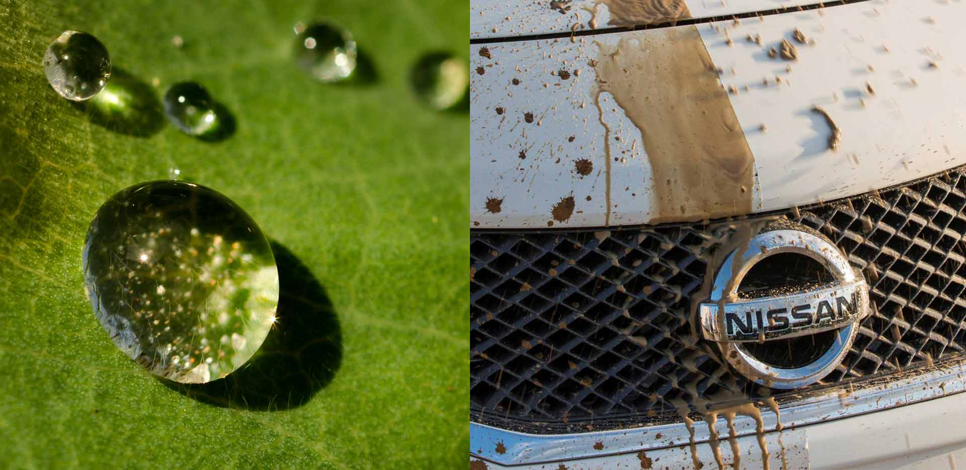 Lotus leaf - self cleaning car