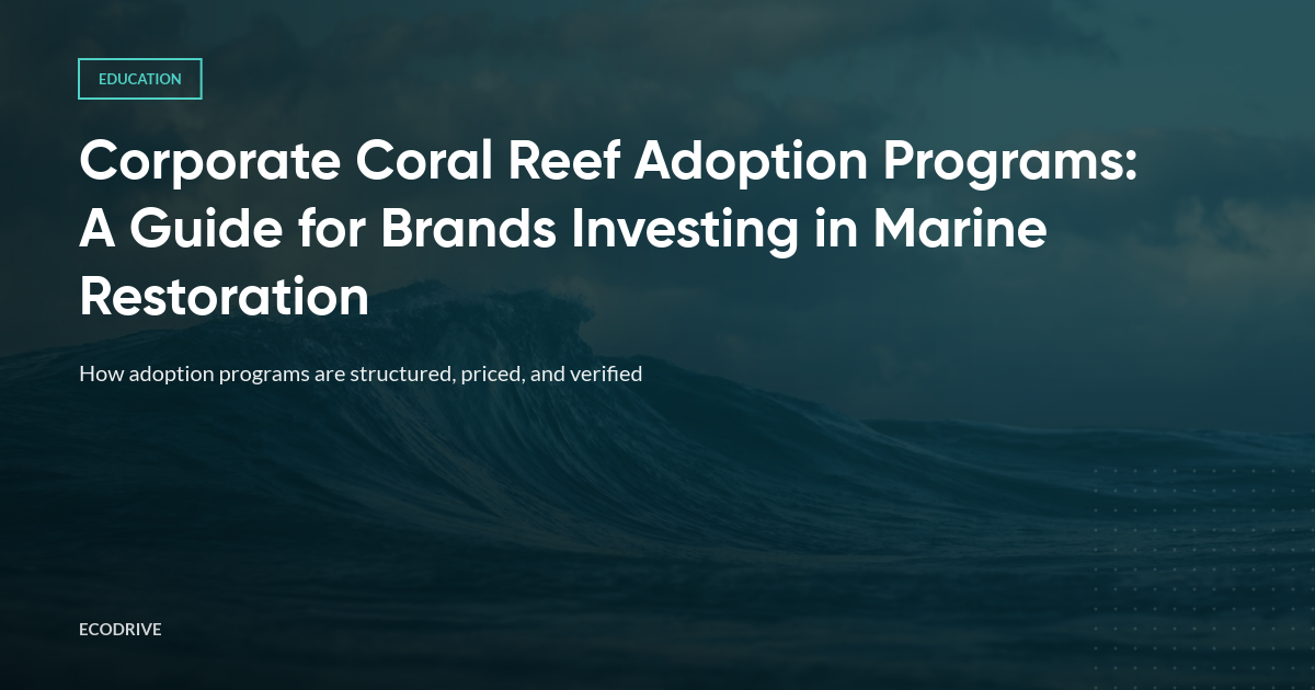 Corporate Coral Reef Adoption Programs: A Guide for Brands Investing in Marine Restoration