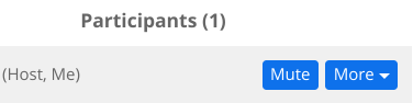 Screenshot of Zoom participants buttons