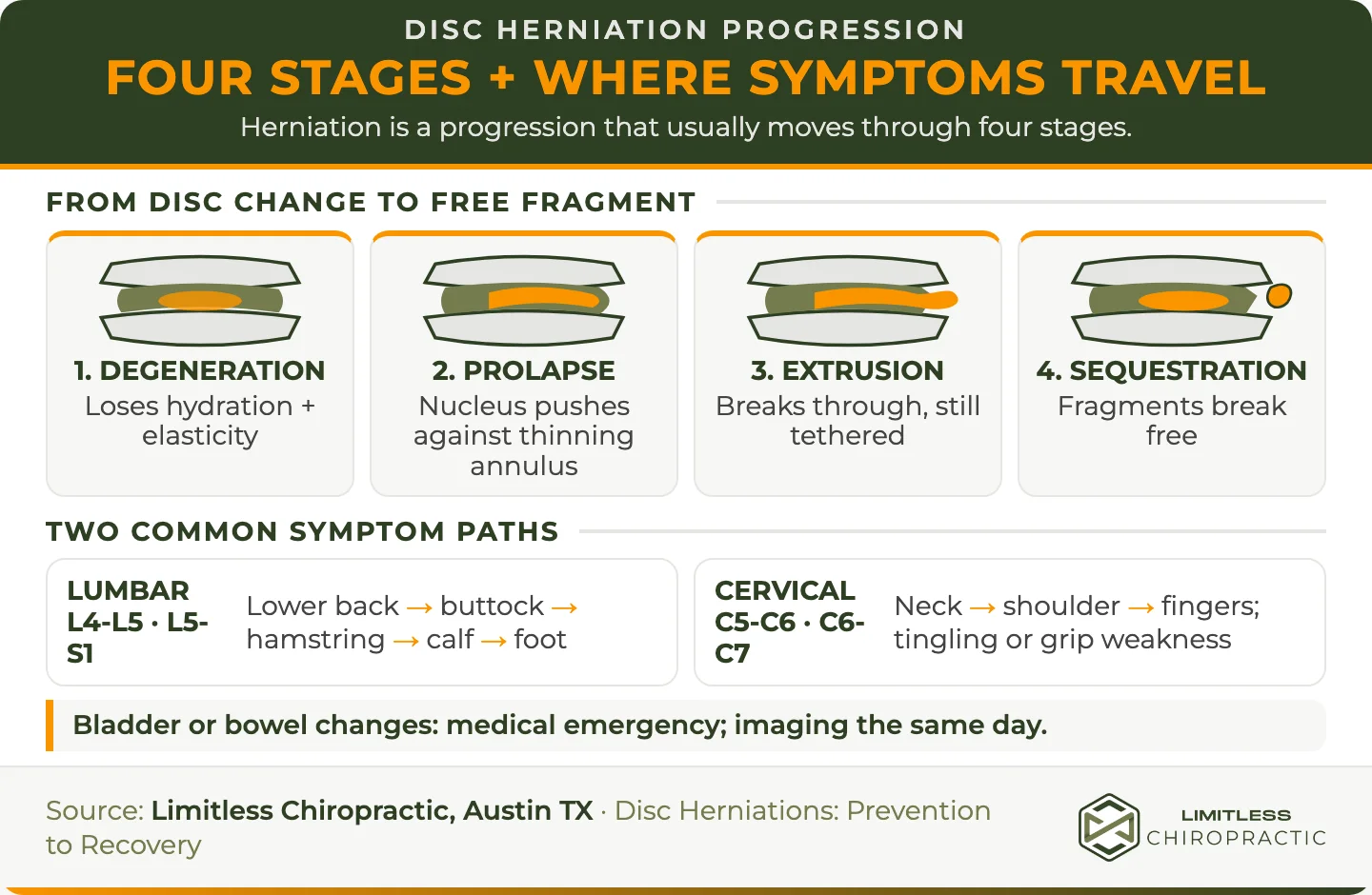 Four disc cross-sections show degeneration, prolapse, extrusion, and sequestration, followed by lumbar and cervical symptom paths and a bladder-or-bowel emergency warning.