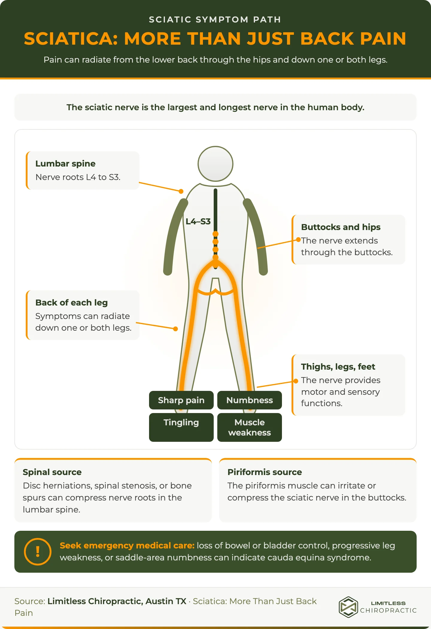 Branded body map showing the sciatic nerve from L4–S3 through the buttocks and legs, common symptoms, spinal and piriformis sources, and cauda equina emergency signs.