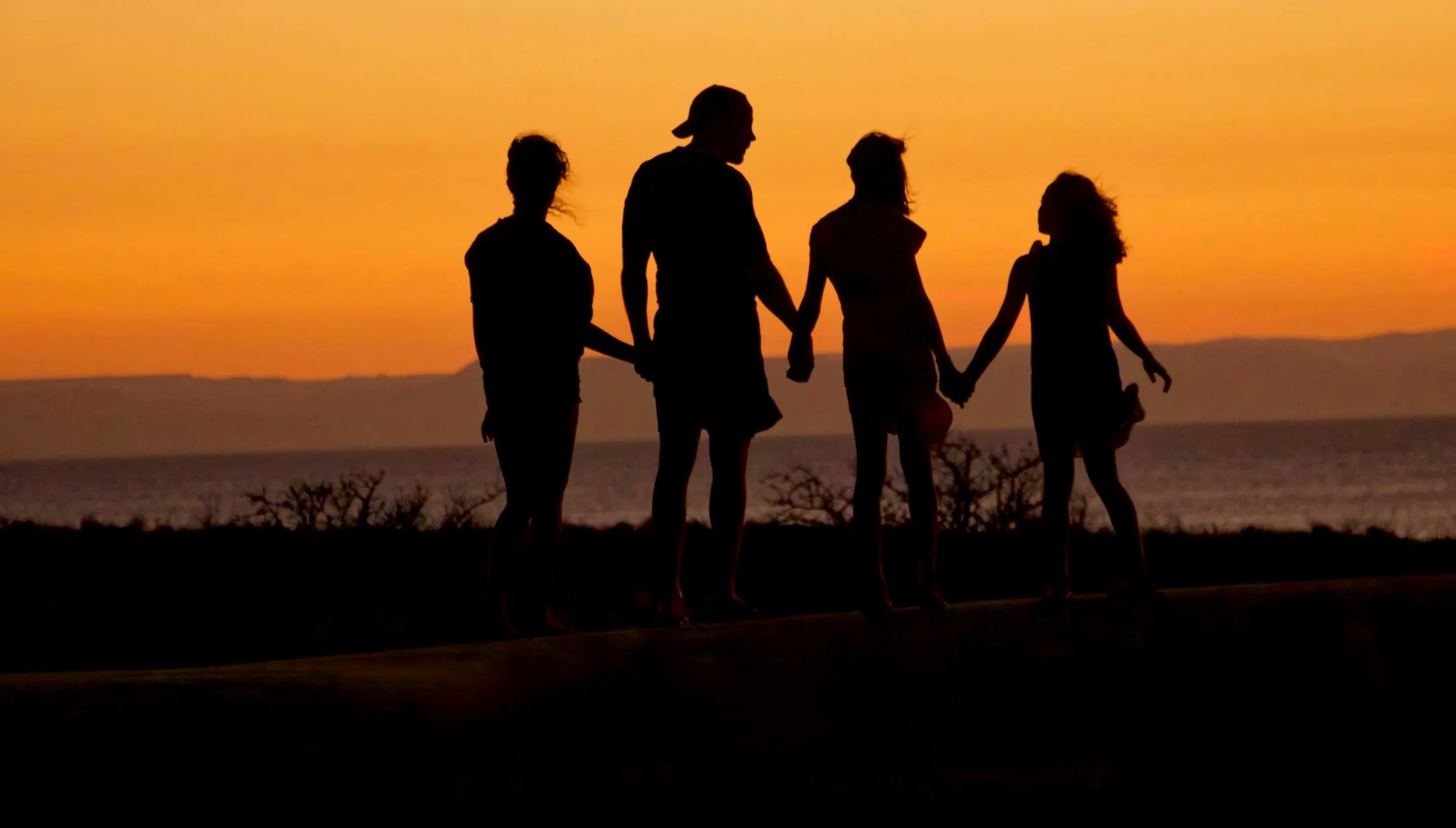 A beautiful sunset with a family holding hands in front of it.