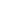 Twitter White Icon