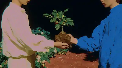 Two people exchanging a small plant with soil against a dark background.