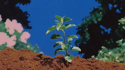 Young green plant sprouting from soil under a clear blue sky with blurred trees in the background.