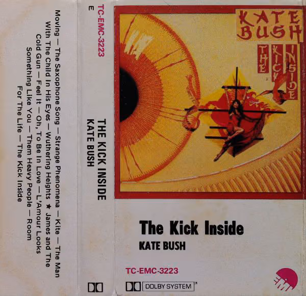 The Kick Inside