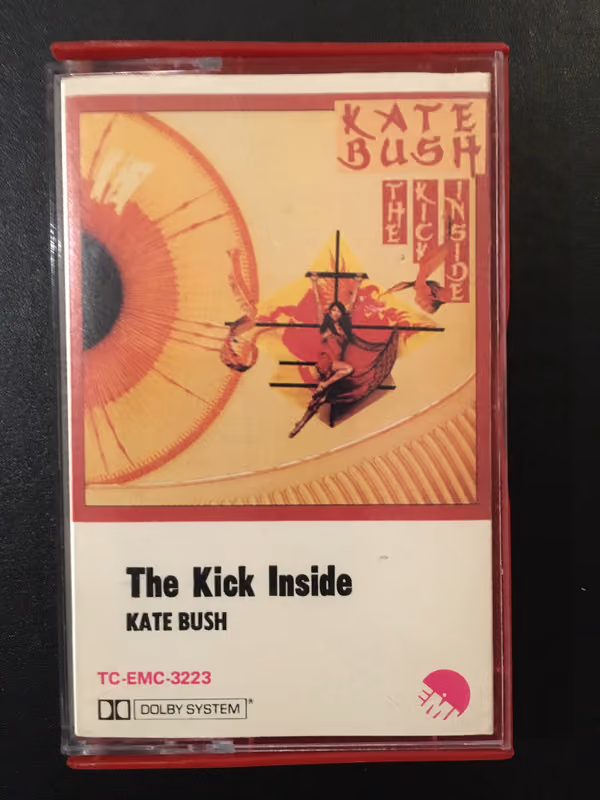 The Kick Inside