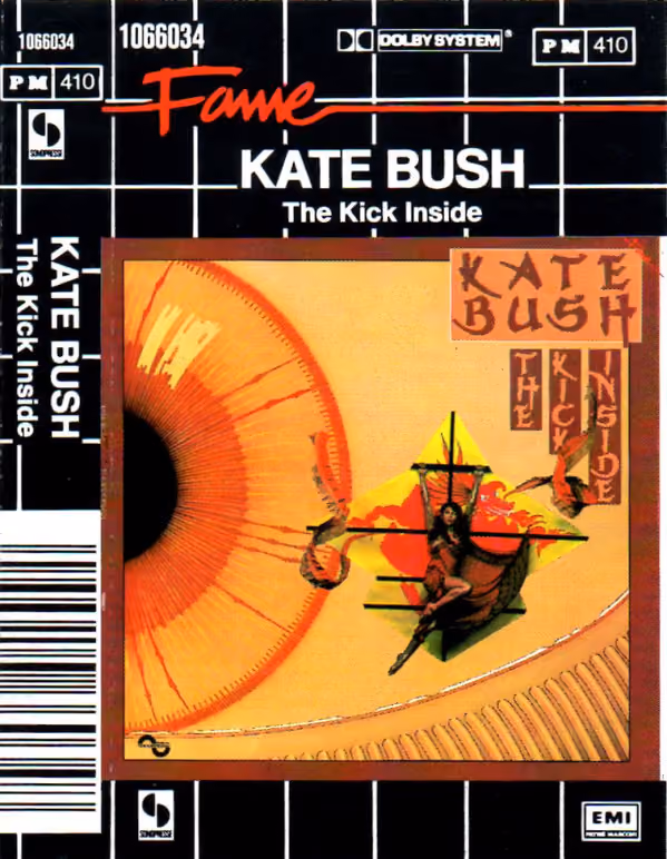 The Kick Inside