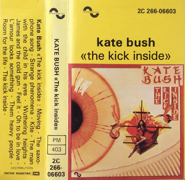 The Kick Inside