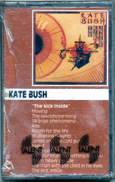 The Kick Inside