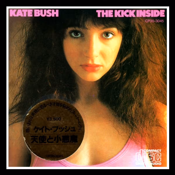 The Kick Inside