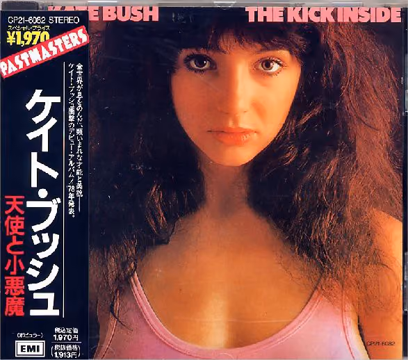 The Kick Inside