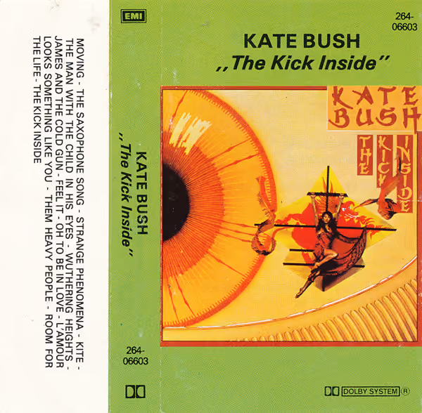 The Kick Inside