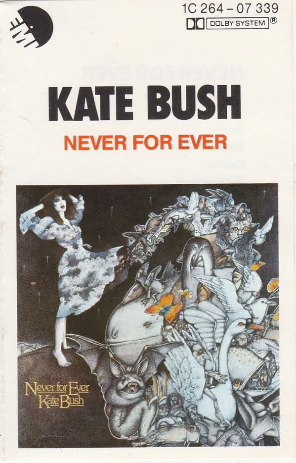 Never For Ever
