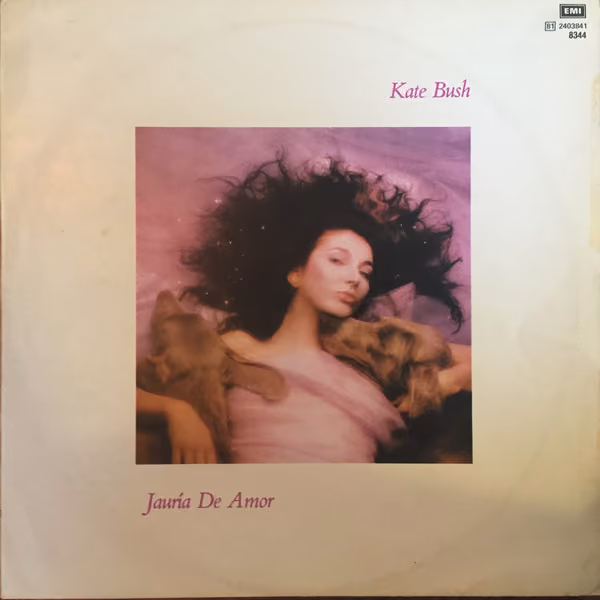 Hounds Of Love
