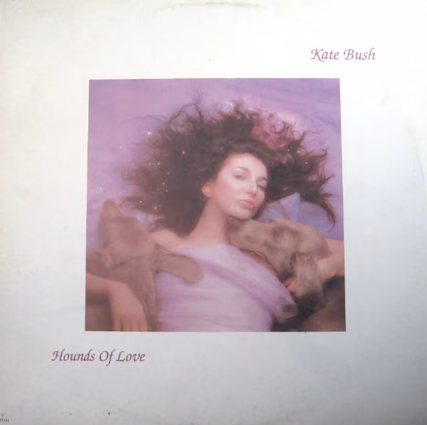 Hounds Of Love