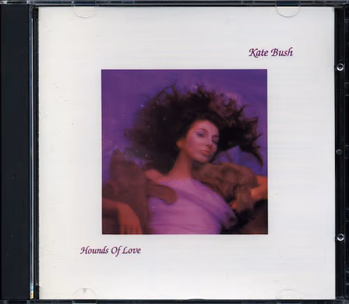 Hounds Of Love