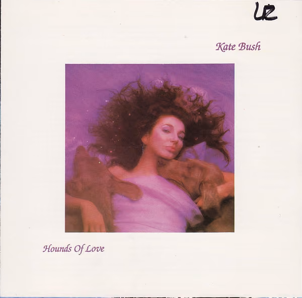 Hounds Of Love