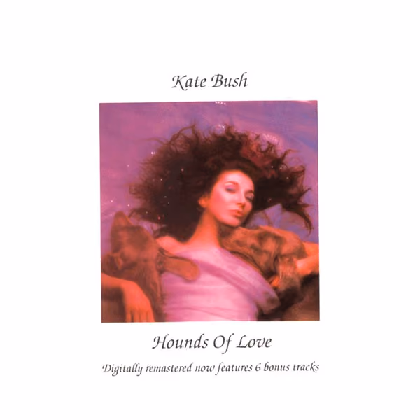 Hounds Of Love