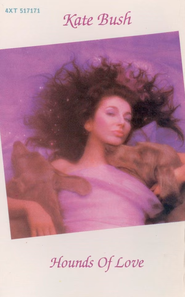 Hounds Of Love