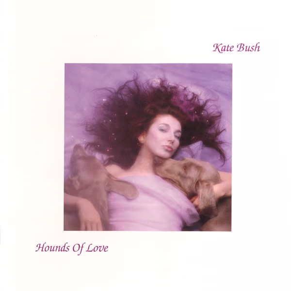 Hounds Of Love