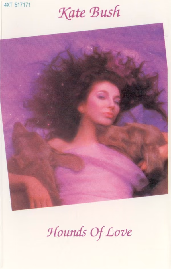 Hounds Of Love