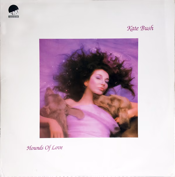 Hounds Of Love