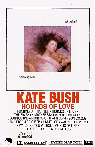 Hounds Of Love