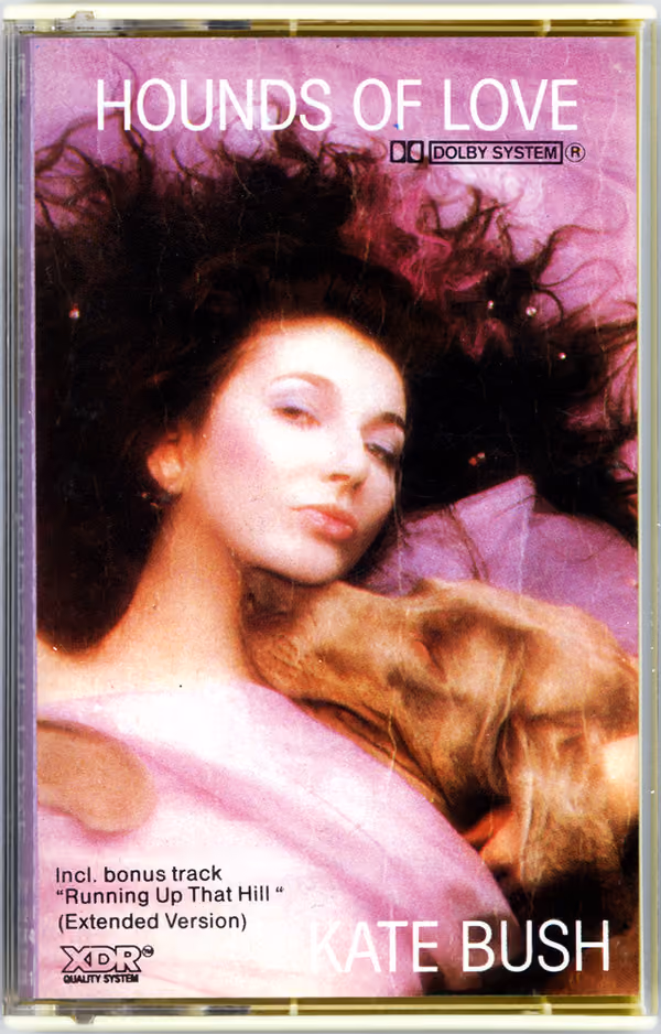 Hounds Of Love