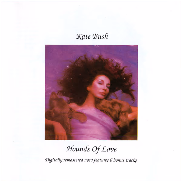 Hounds Of Love