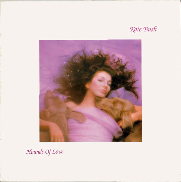 Hounds Of Love