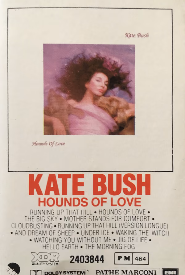 Hounds Of Love