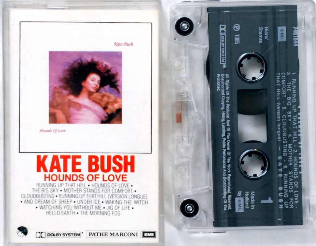 Hounds Of Love