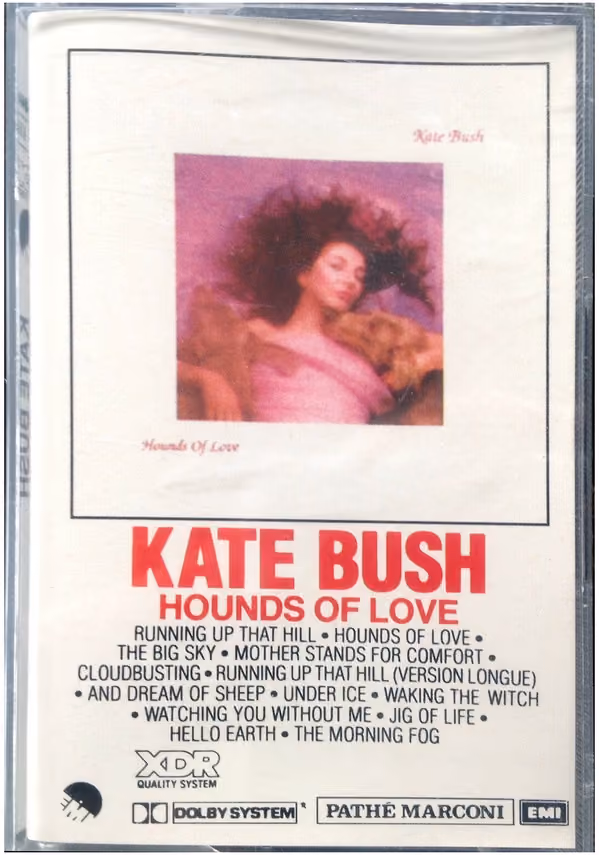 Hounds Of Love