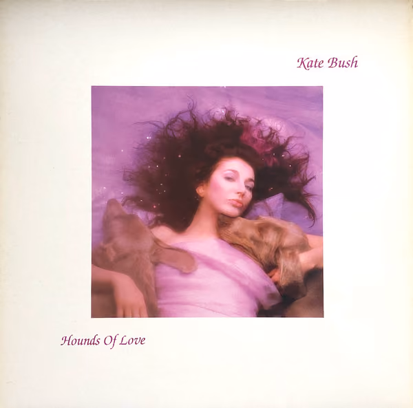 Hounds Of Love