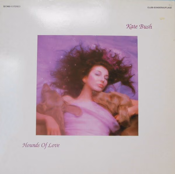 Hounds Of Love