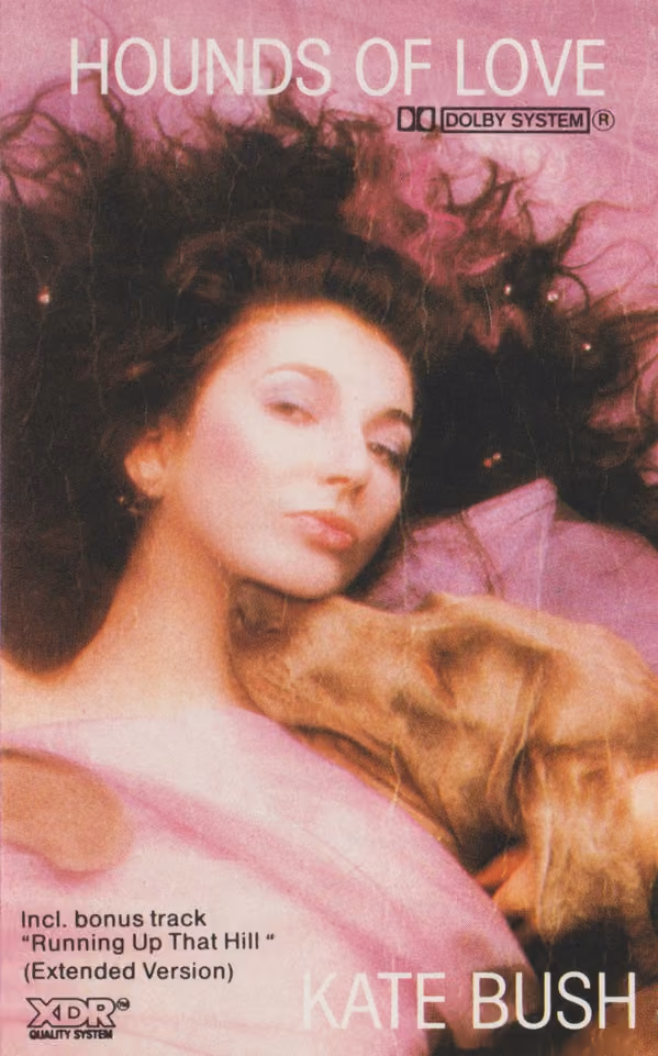 Hounds Of Love