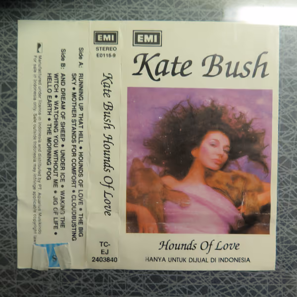 Hounds Of Love