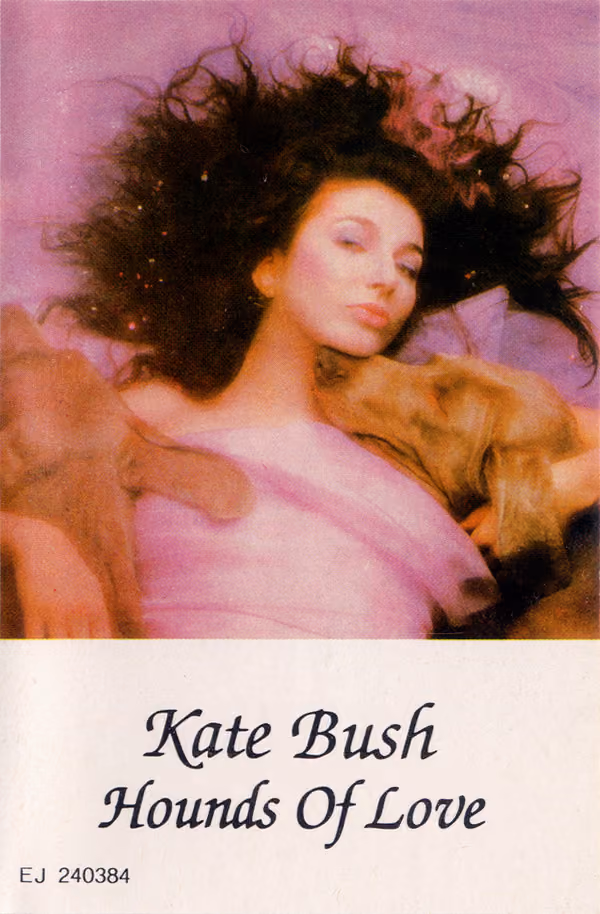 Hounds Of Love