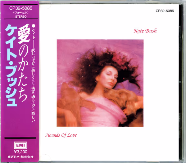 Hounds Of Love
