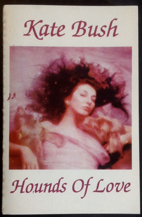 Hounds Of Love